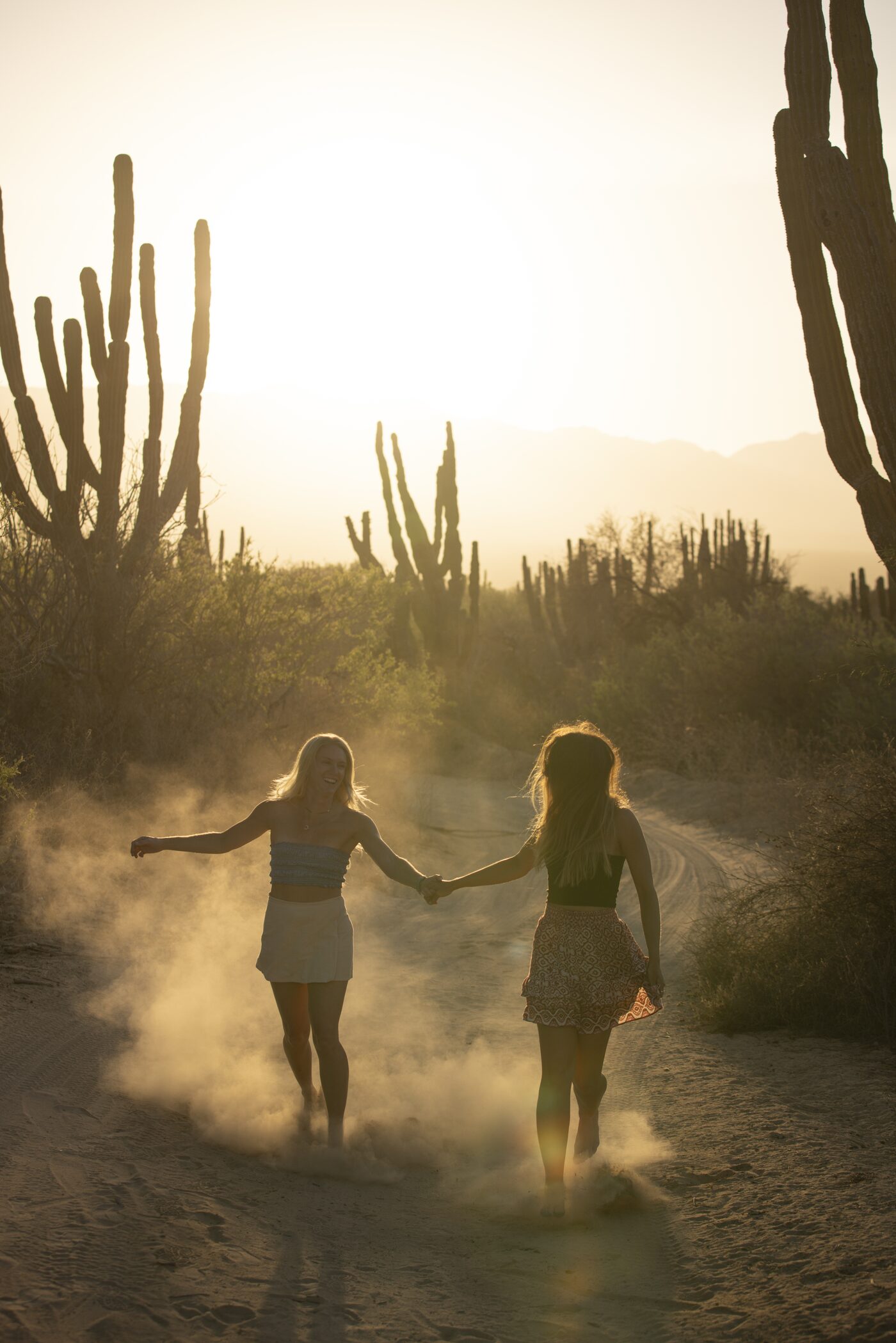 Two women walking down a dusty desert road through tall cardon cactus at golden hour, Baja California Sur