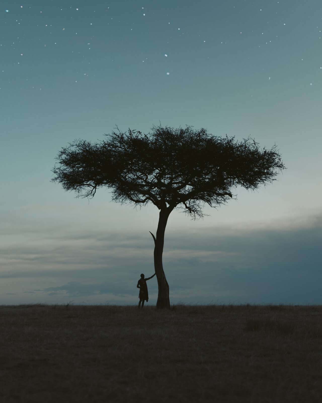 A Maasai warrior standing beneath a lone acacia tree at dusk, the Mara sky scattered with stars